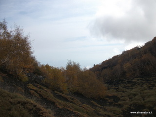 rra delle Concazze-01-01-2009 03-14-52